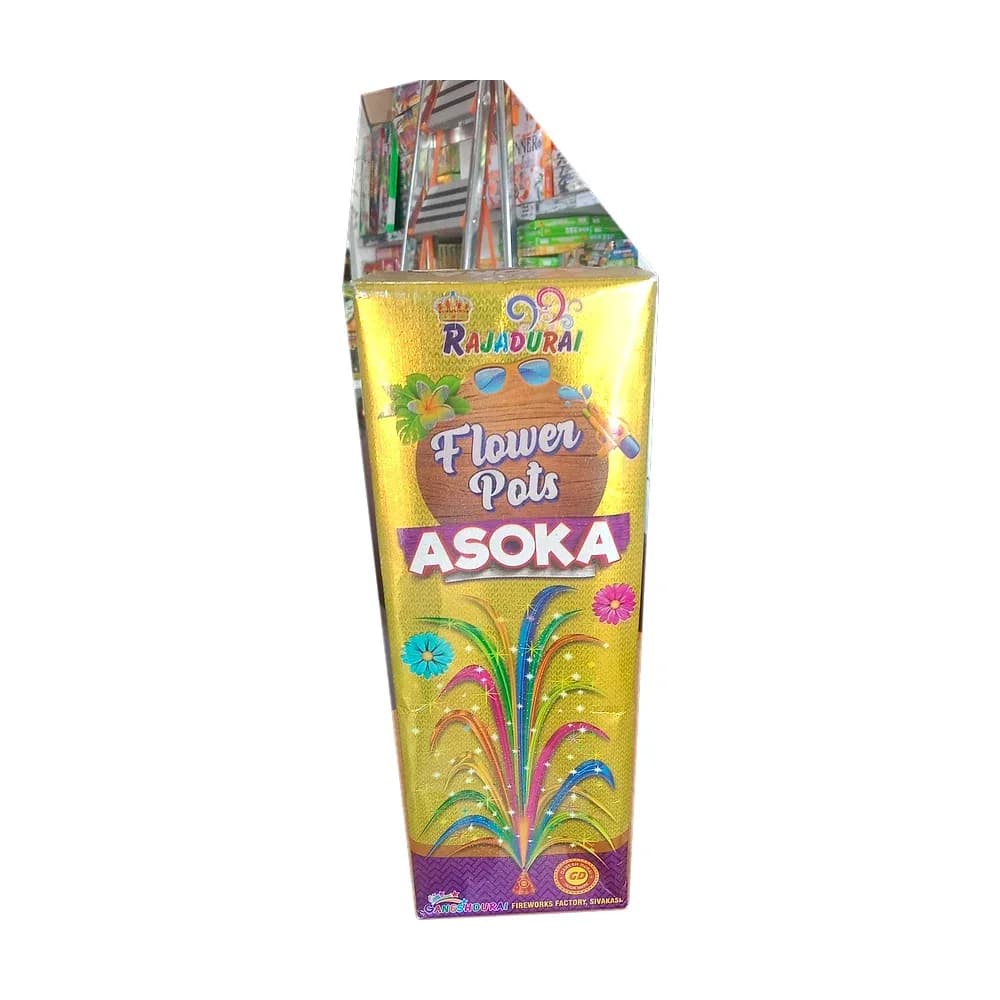 Flower Pot Ashoka, 1 box